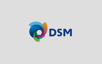logo_dsm